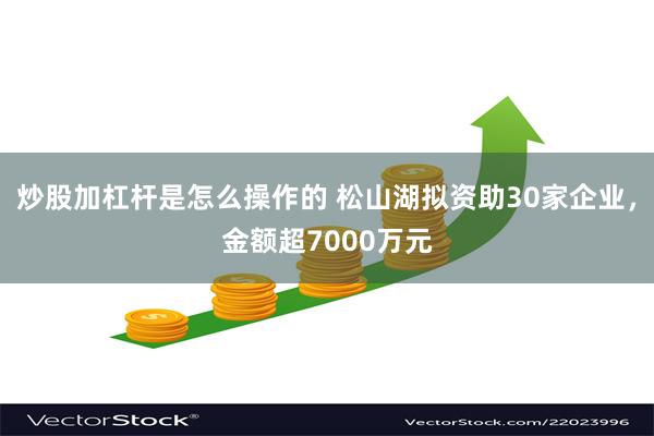 炒股加杠杆是怎么操作的 松山湖拟资助30家企业，金额超7000万元