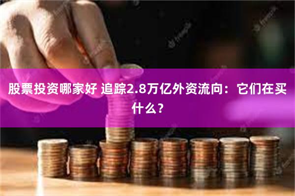 股票投资哪家好 追踪2.8万亿外资流向：它们在买什么？