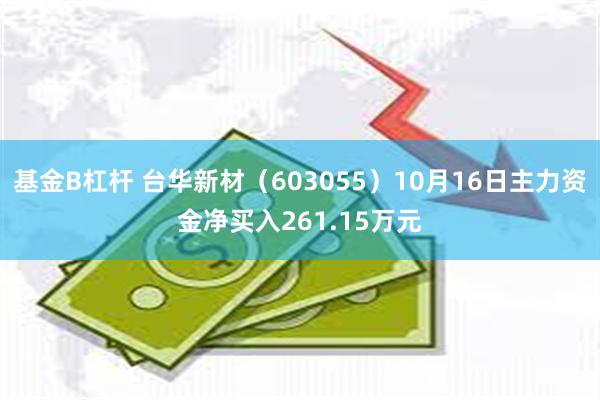 基金B杠杆 台华新材（603055）10月16日主力资金净买入261.15万元