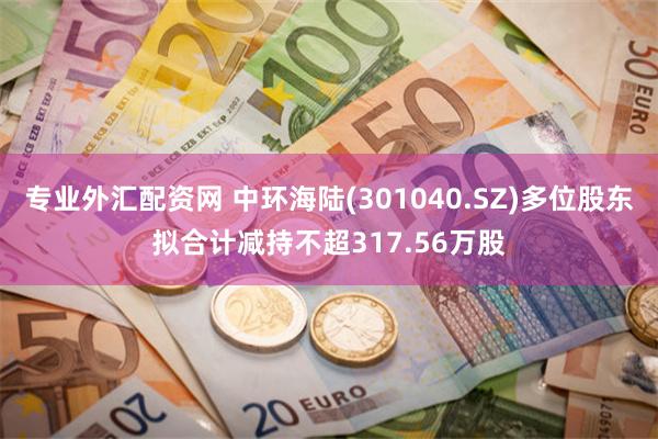 专业外汇配资网 中环海陆(301040.SZ)多位股东拟合计减持不超317.56万股