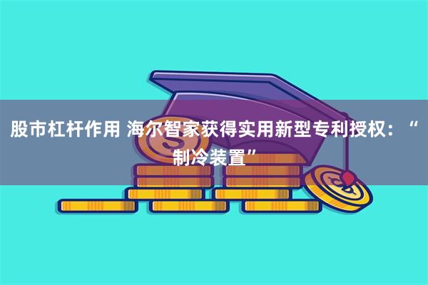 股市杠杆作用 海尔智家获得实用新型专利授权：“制冷装置”