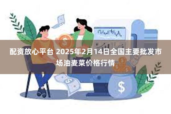 配资放心平台 2025年2月14日全国主要批发市场油麦菜价格行情